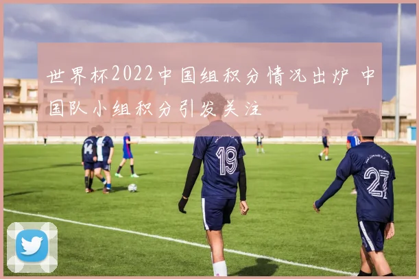 世界杯2022中国组积分情况出炉 中国队小组积分引发关注