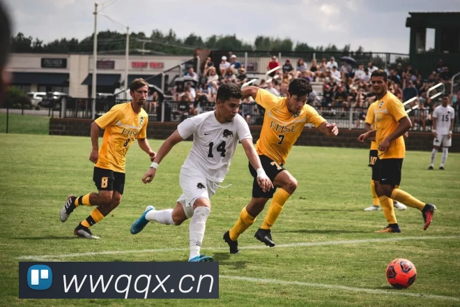 数据防护可视化